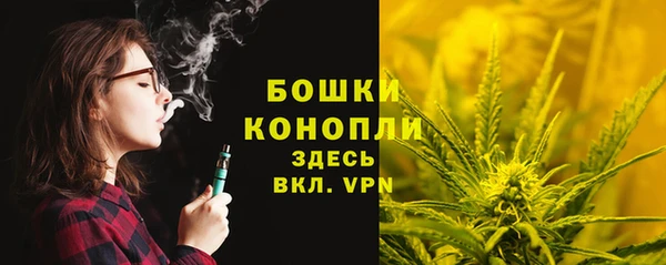 стаф Гусев