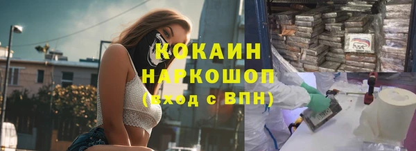 стаф Гусев