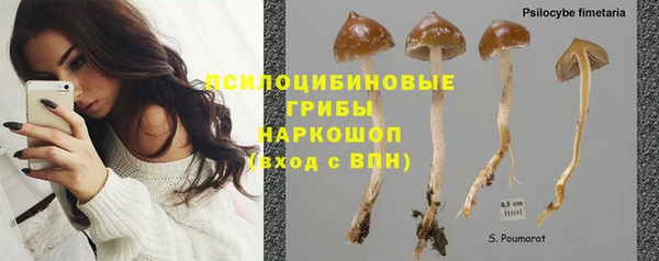 стаф Гусев