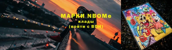 стаф Гусев