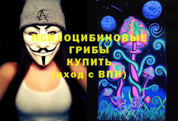ALPHA-PVP Гусь-Хрустальный