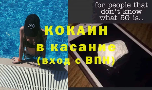 стаф Гусев
