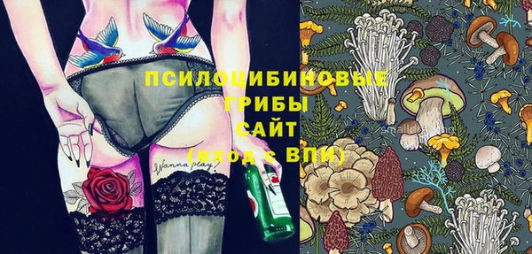 мескалин Гусиноозёрск