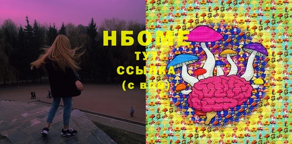 стаф Гусев