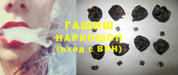 стаф Гусев