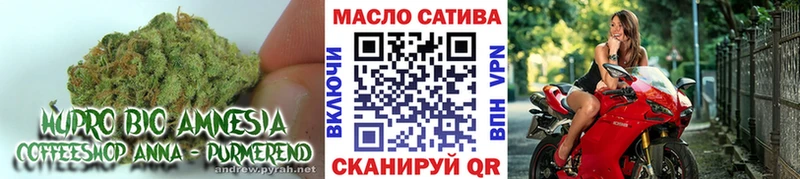 ТГК THC oil  ссылка на мегу как зайти  Чулым  дарнет шоп 